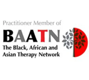 HOMEPAGE LOGO_BAATN logo